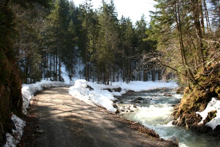 Der Weg entlang des Söllbachs