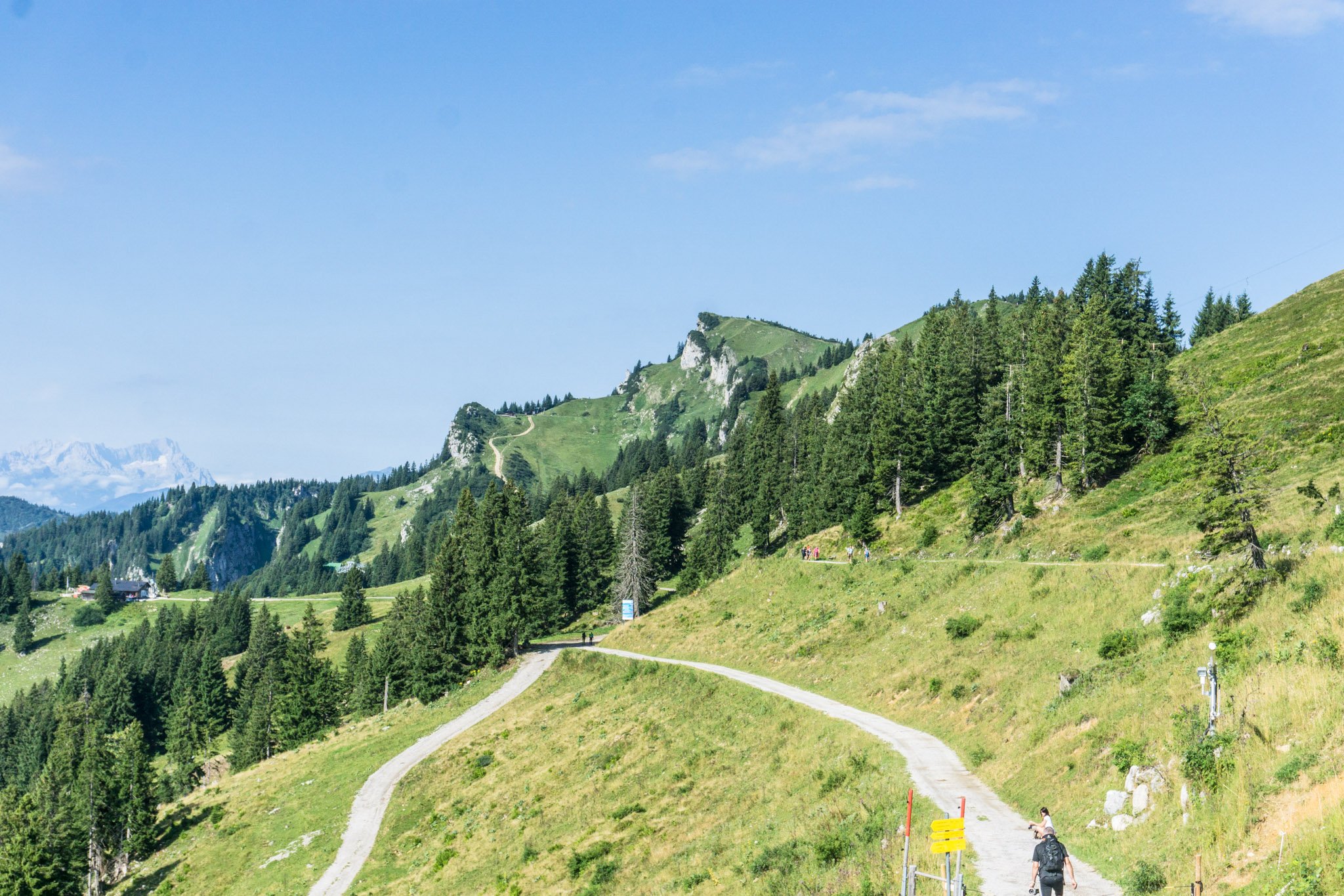 Wandern Am Brauneck: Panoramaweg Und Kleiner Höhenweg | Auf-den-berg.de