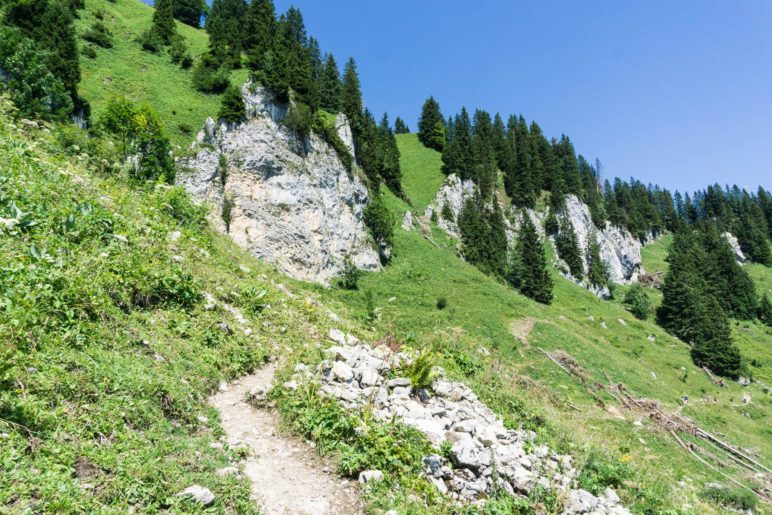 Auf dem schmalen Weg vom Gamsköpfl zur Tölzer Hütte