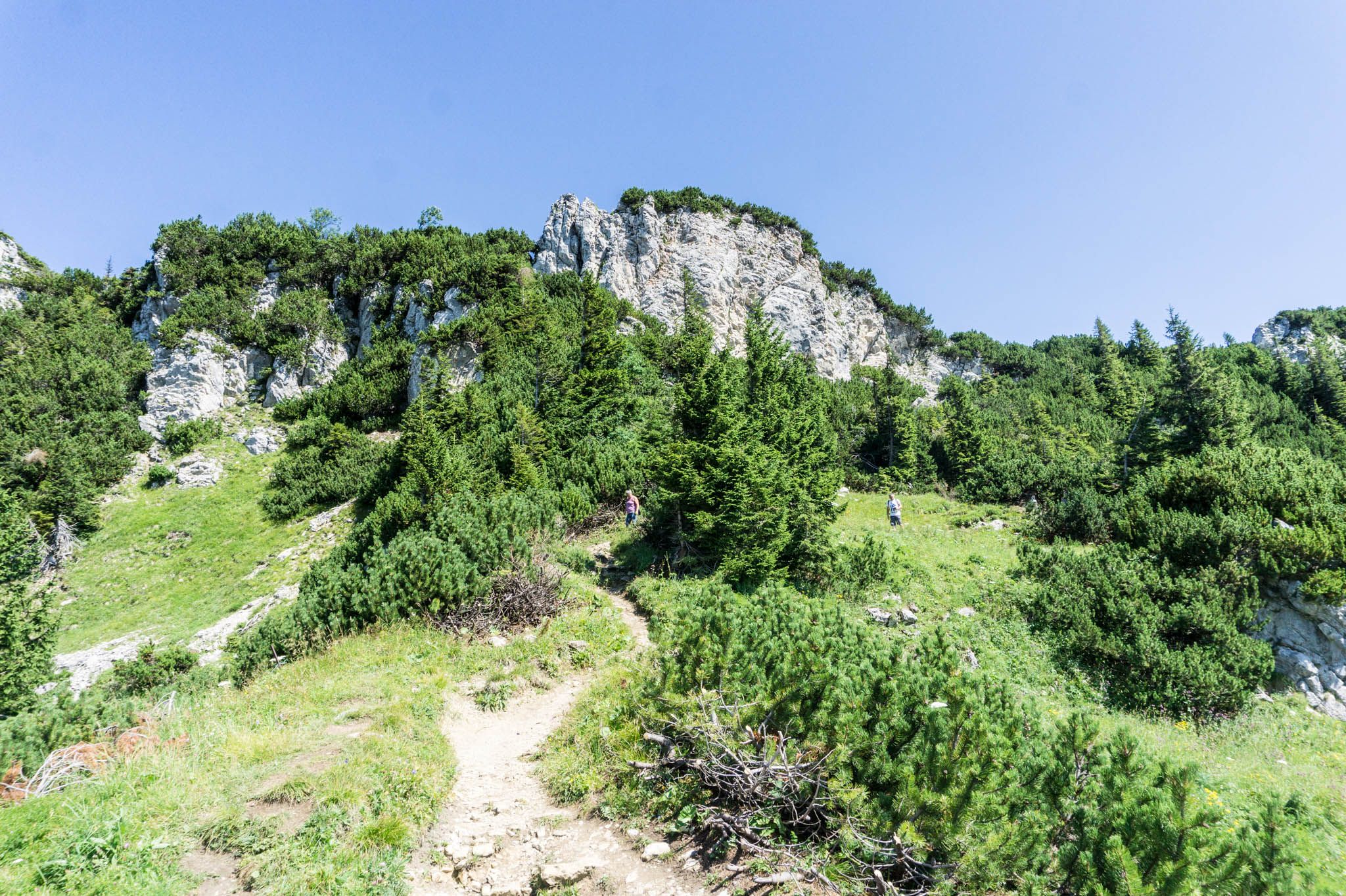 Wanderung Am Brauneck - Große Höhenwanderung Zum Latschenkopf | Auf-den ...