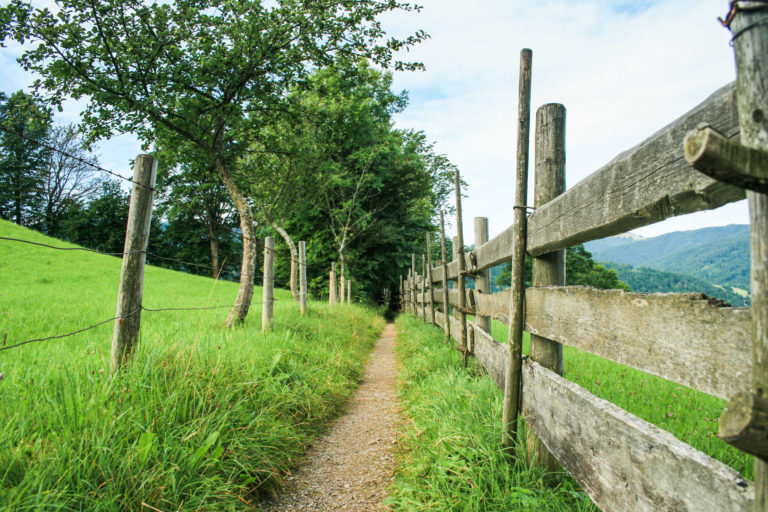 Ein Wanderweg, der am Schliersee vorbei führt