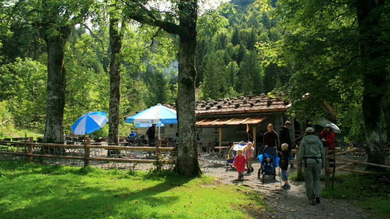 Die Siebenhüttenalm - Ideales Wanderziel für Familien