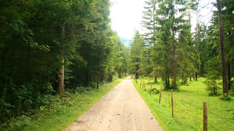 Der Wanderweg von Kreuth nach Wildbad Kreuth - nicht besonders abwechslungsreich