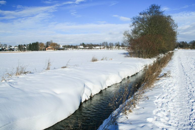 Winter im Schwabener Moos