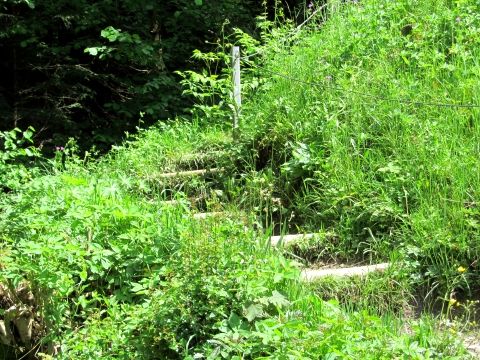 Treppe durch die Wiese vor der Kochelbergalm