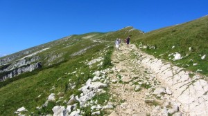 Ein breiter Wanderweg über Graswiesen auf dem Weg zum Rifugo Chierego