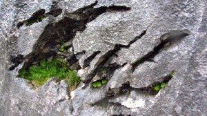 Wieder einmal bizarr verwitterte Felsen