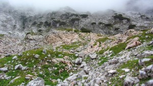 Es gibt sogar ein wenig Grün im Steinernen Meer