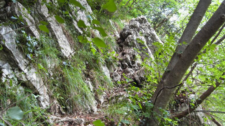 Schmal, steil und teilweise felsig und ausgesetzt ist der Weg auf den Monte Colt