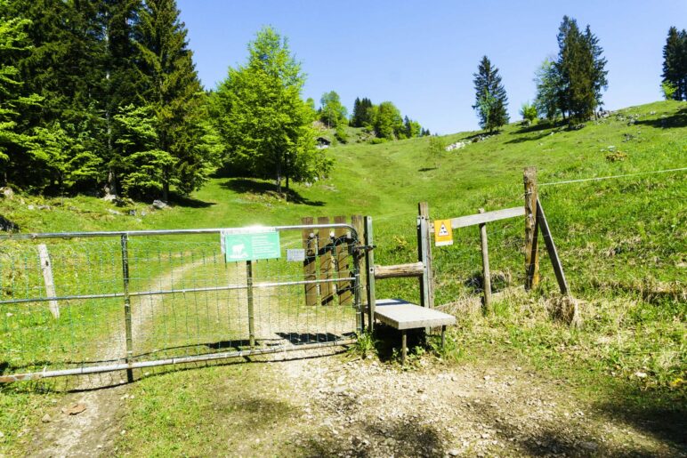 Der Zugang zur Almfläche der Bubenau