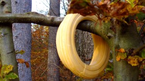 Die Ringe sind auf dem gesamten Weg durch den Wald verteilt