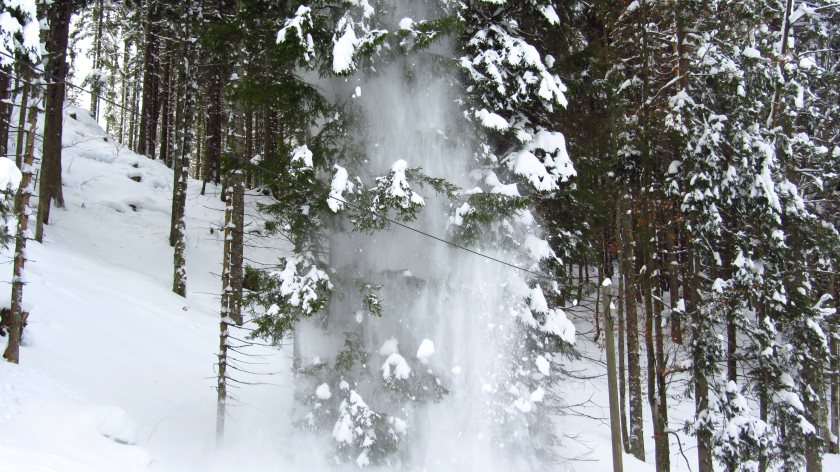 Schneedusche im Wald