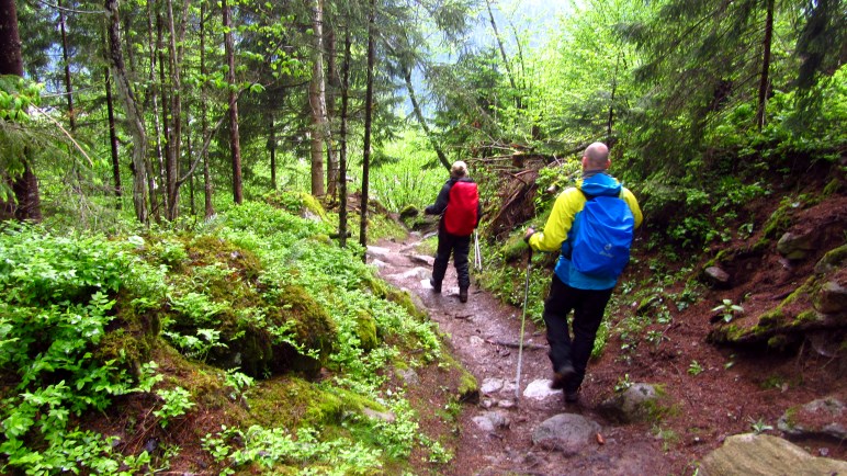 Auf der Wanderung von Marhofen auf den Steinerkogel und nach Brandberg