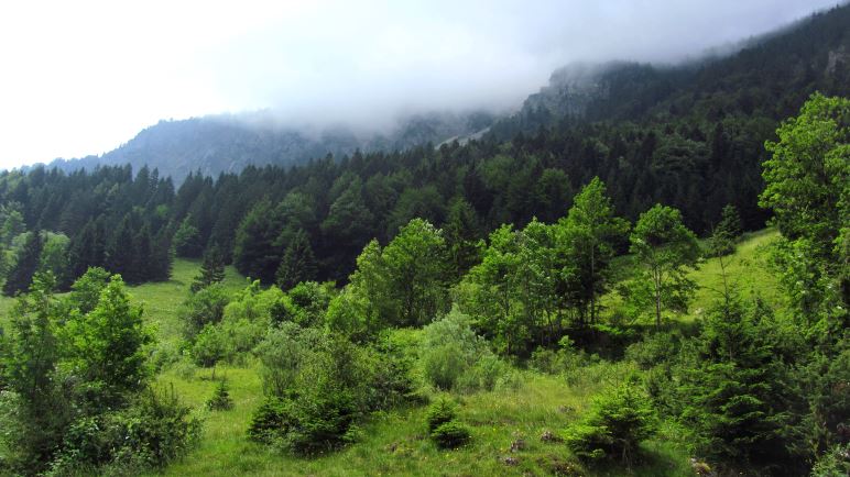 Nur auf den Bergblick mussten wir verzichten. Hier sieht man den Brecherspitz nicht