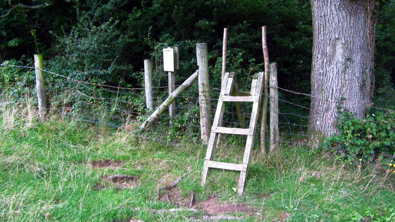 Über die Leiter geht es von der Weide in den Wald