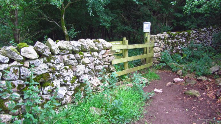 Durch die Steinmauer führt der Weg aus dem Wald heraus