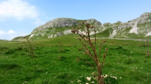 Der Attermire Scar ist einer der wenigen markanten Berge der Gegend