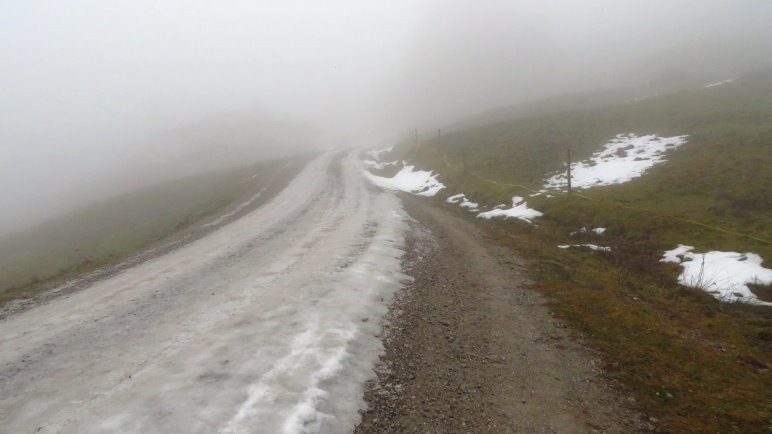 Höchststrafe: Langweilige Forststraße, vereist, Nebel, keine Aussicht