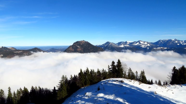 Bergblick aus dem Wald heraus