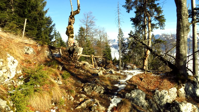 Der Pfad zum Brünnsteinhaus wird auf den letzten Metern sonnig und führt an einem wilden Berghang entlang