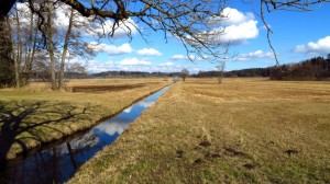 Dieser kleine, schnurgerade Kanal führt von der Straße zu Pelhamer See