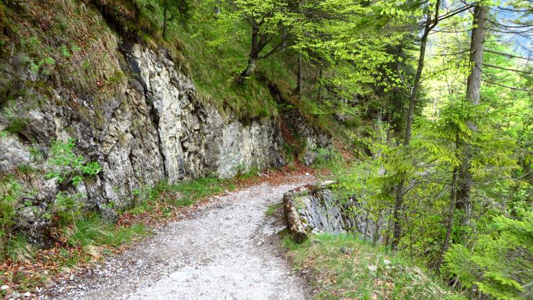 Bergab vom Sillberghaus zur Straße im Ursprungtal