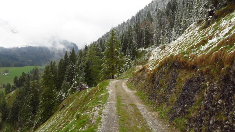 Auf dem Weg von der Neuhüttenalm