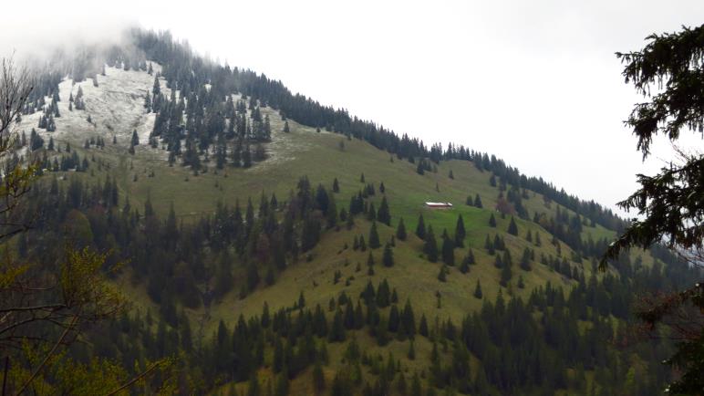 Gegenüber liegt die Neuhüttenalm, inzwischen schneefrei. Dahinter der Seebergkopf