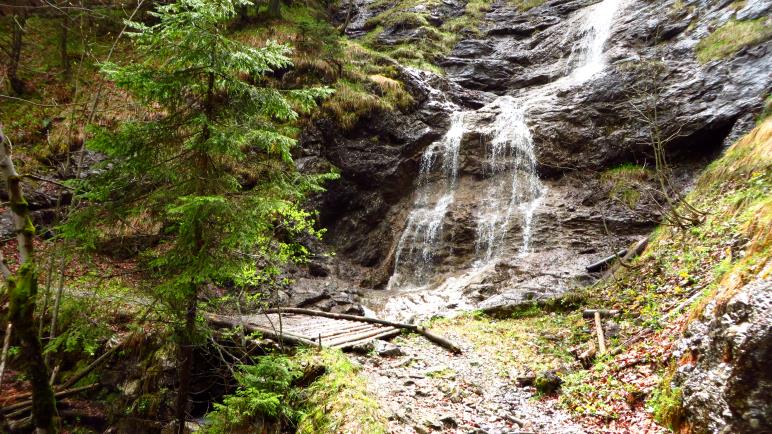 Ein schöner Wasserfall im Wald