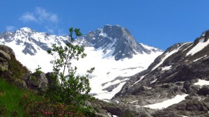 Das Floitenkees, das wir fast die ganze Wanderung über im Blick haben