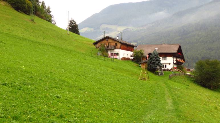 Am Ausstieg des Steigs steht man auf der Wiese des Unterpursteinhofs