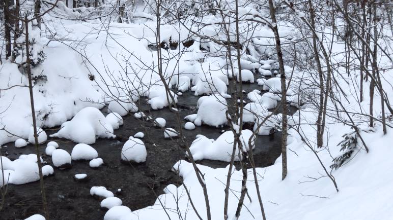 Die Steine im Schwarzenbach sehen mit Ihren Schneehauben wie Pilze aus