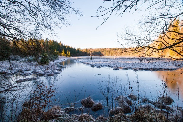 Winterlandschaft am Hackensee