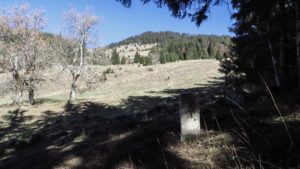 Im Spitzsteingebiet bei der Goglalm. Chiemgauer Alpen