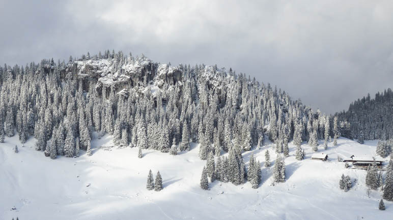 Die Obere Firstalm und der Winterwald