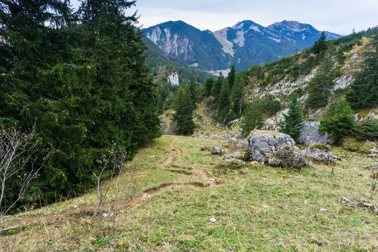 Nach dem steilen Stück führt der Weg unschwierig über Wiesen und durch den Wald