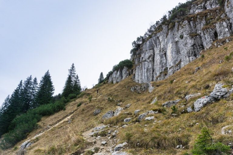 Wanderung Von Neuhaus Auf Die Bodenschneid Und Zur Oberen Firstalm ...