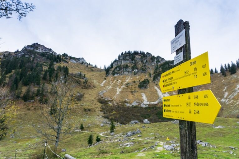 Wanderung Von Neuhaus Auf Die Bodenschneid Und Zur Oberen Firstalm ...