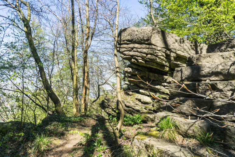 Einer der Felsen, die am Rand des Ithkamms stehen. Auf die meisten kann man leicht steigen