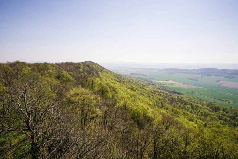 Der südliche Ith, vom Ith-Turm aus gesehen