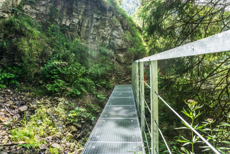 Eine von mehreren neuen Metallbrücken auf dem Weg