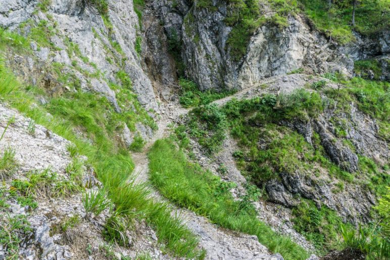 Diese Stelle wird teils als Schlüsselstelle der Wanderung bezeichnet, ist aber gar nicht so wiild