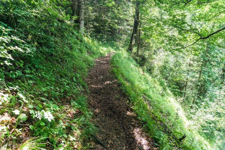 Ein schmaler Bergsteig, hoch oberhalb der Grundache