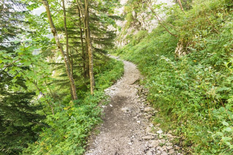 Leichter Beginn oberhalb der Höllentalangerhütte