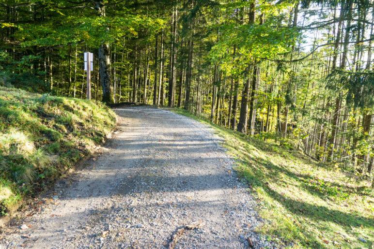 Nach der Moosenhütte führt ein breiter Fahrweg zurück zum Parkplatz