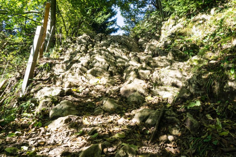 Eine Felsstufe auf dem schönen Bergsteig