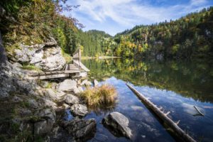 Beim Steg am Taubensee-Ufer