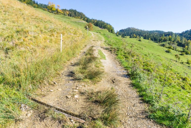 … dann fast eben entlang der Almwiesen zur Rinderbrachalm