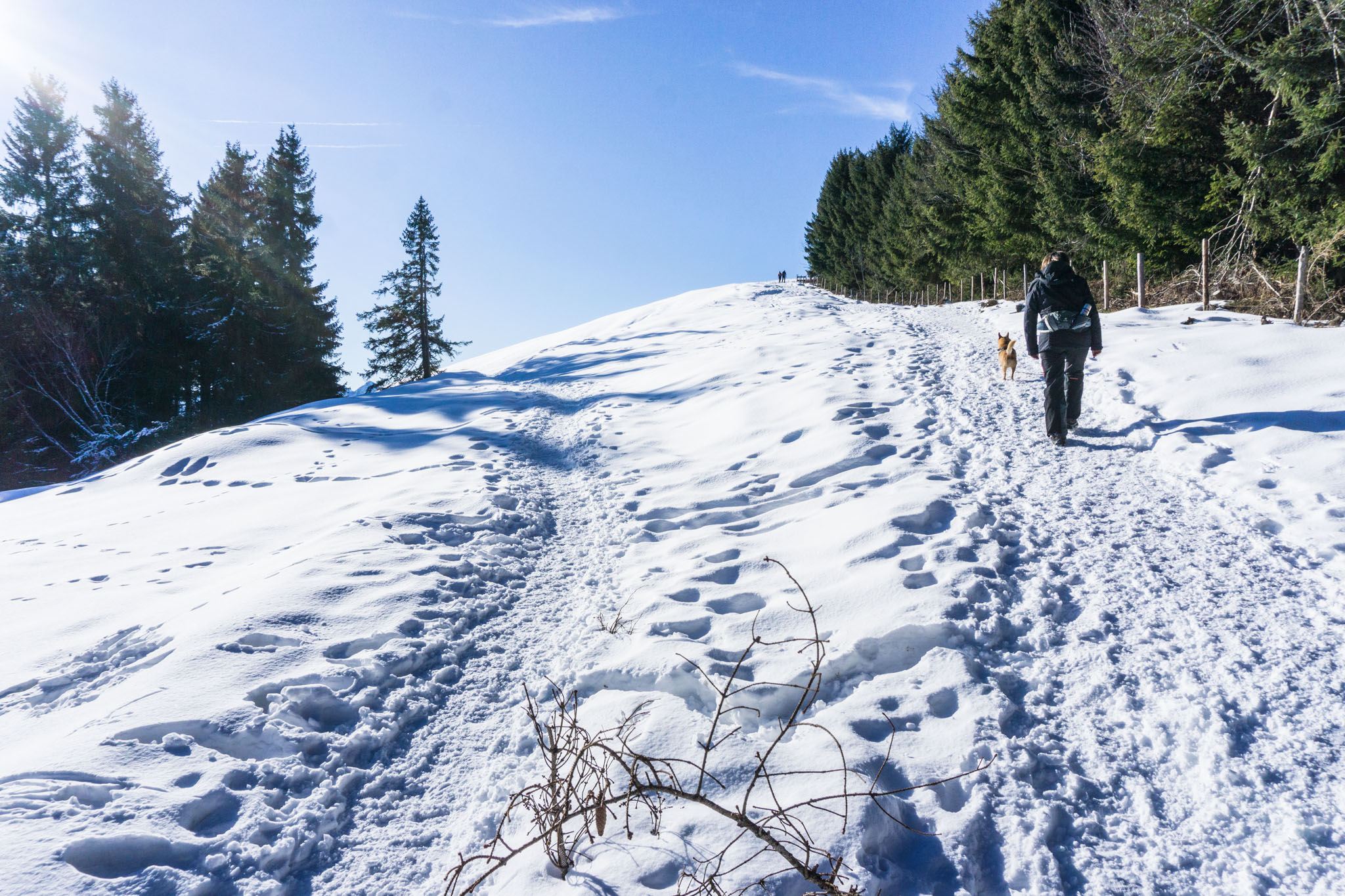 Winterwanderungen In Bayern | Auf-den-berg.de