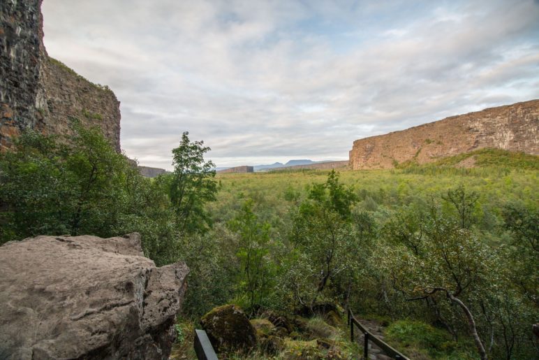 Vom etwas erhöhten Standpunkt aus haben wir einen guten Blick über die Ásbyrgi-Schlucht und den kleinen Wald bis zum Eyjan-Felsen